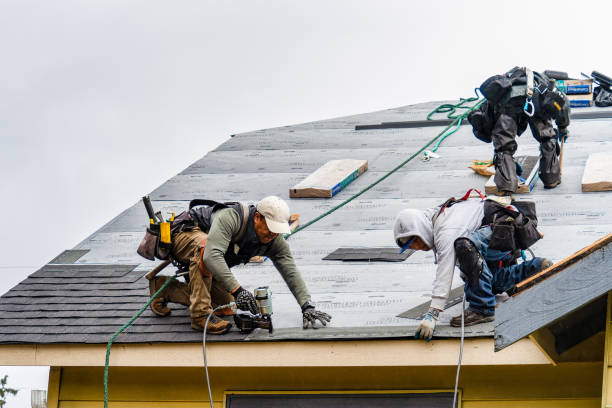 Professional Roof Repair technician working in New Boston, MI